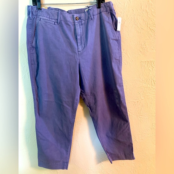 NWT Gap Straight Ankle Khakis in Periwinkle Size 16 - Picture 1 of 4